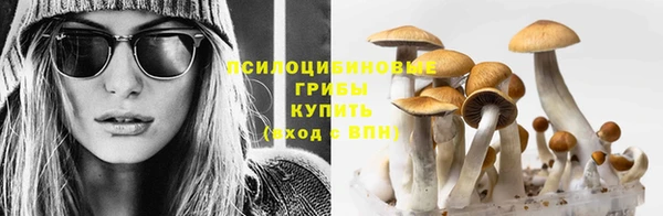 МДМА Арсеньев