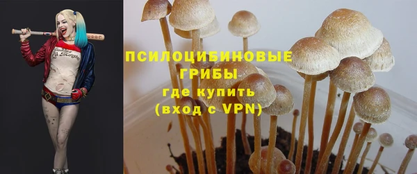 винт Балахна