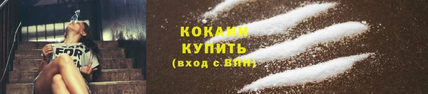 ПСИЛОЦИБИНОВЫЕ ГРИБЫ Балабаново