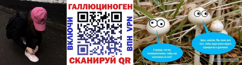 Галлюциногенные грибы Psilocybe  hydra онион  Скопин 